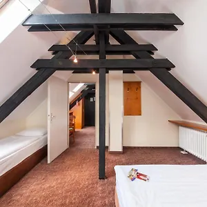 Ahl Meerkatzen *** Köln